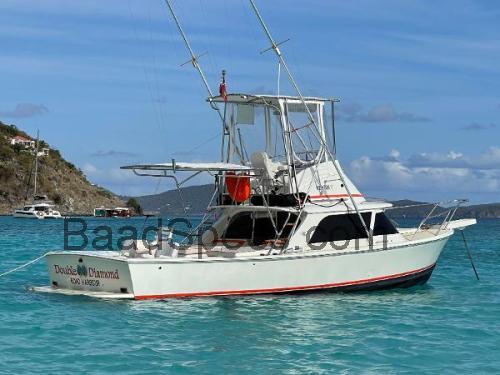Bertram 31 Sportfish tekniske specifikationer 